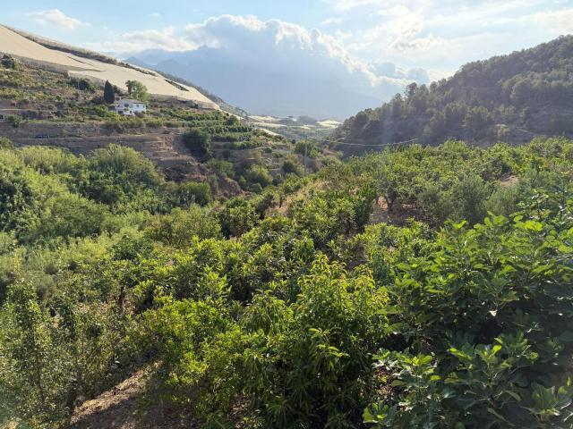 Terreno en venta en la Marina Baixa, Valencia
