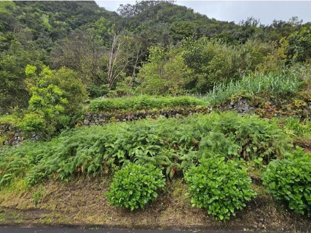 Terreno venda em São Vicente, Ilha Da Madeira