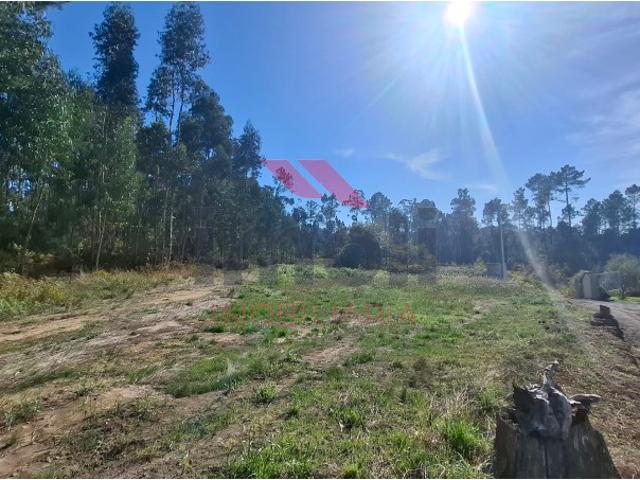 Terreno venda em Foio, Boalhosa