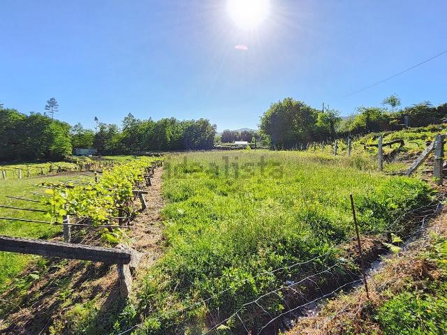 Terreno en venta en Fozara, O Condado