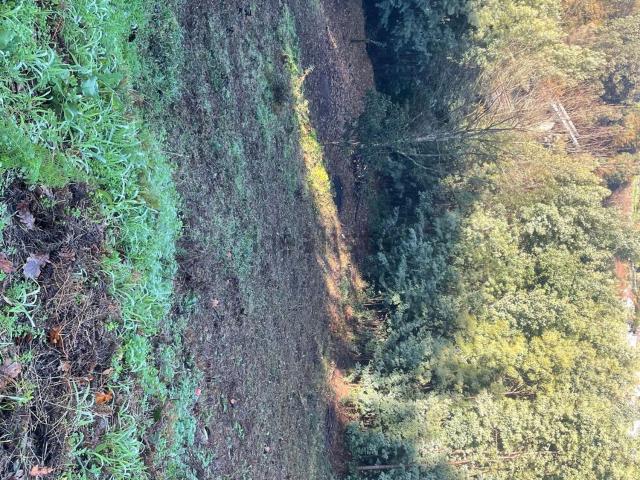 Terreno en venta en Mourente, Deza