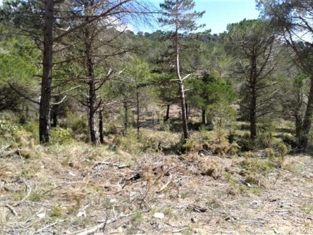 Terreno en venta en Pontons, Barcelona
