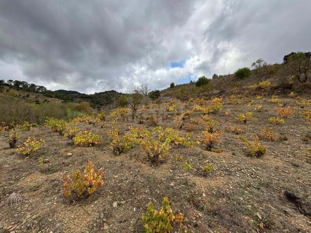 Terreno en venta en Priorat, Catalunya