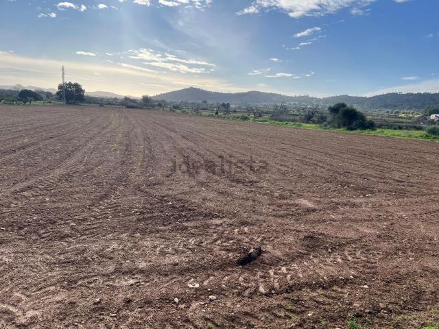 Terreno en venta en Pla de Mallorca, Baleares