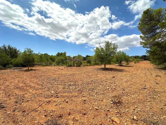 Terreno en venta en Pla de Mallorca, Baleares