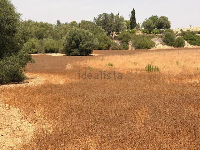 Terreno en venta en Pla de Mallorca, Baleares