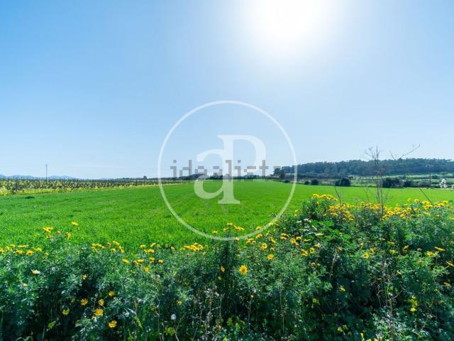 Terreno en venta en Pla de Mallorca, Baleares