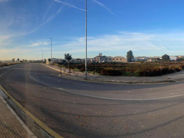 Terreno en alquiler en Pla de Mallorca, Baleares