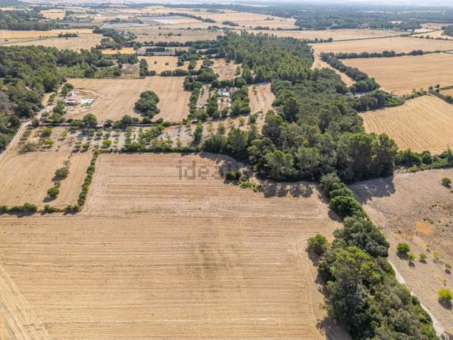 Terreno en venta en Pla de Mallorca, Baleares