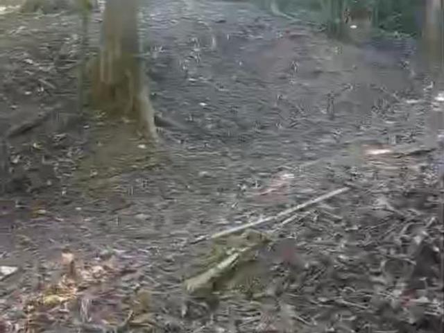 Terreno venda em Cambaquara, Ilhabela