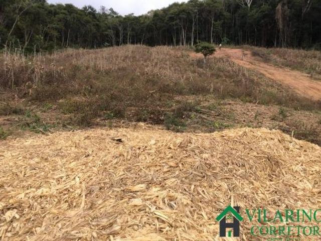 Terreno venda em Região Geográfica Imediata de Viçosa, Porto Firme