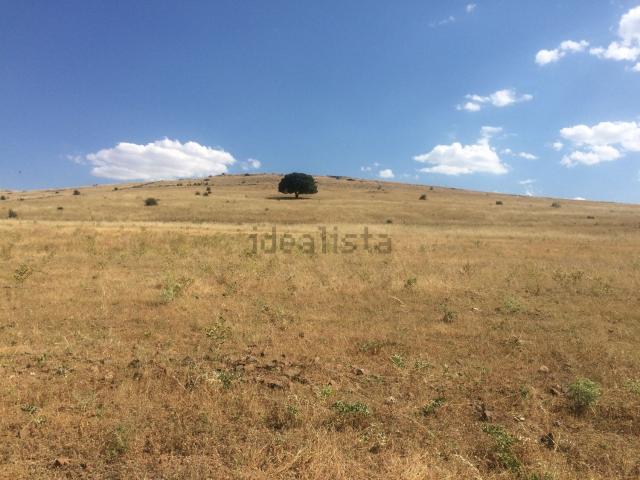 Terreno en venta en Porzuna, Castilla-La Mancha