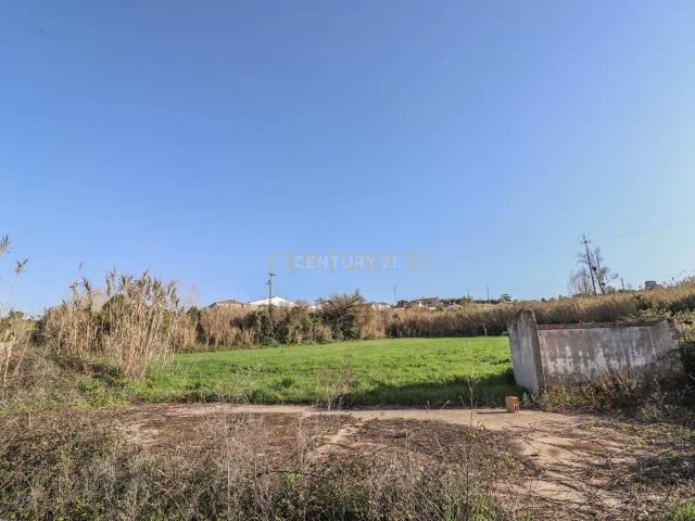 Terreno venda em Montemor-o-velho, Coimbra