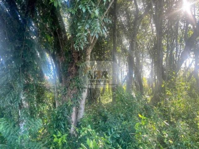 Terreno venda em Região Geográfica Imediata de Caxias do Sul, Nova Petrópolis