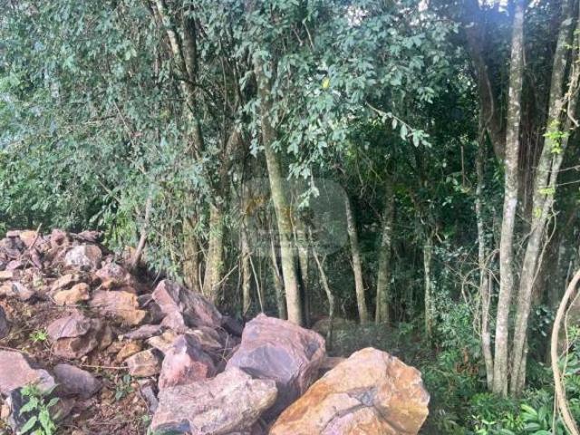 Terreno venda em Região Geográfica Imediata de Caxias do Sul, Nova Petrópolis