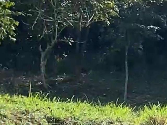 Terreno en venta en Poza Rica De Hidalgo, Veracruz