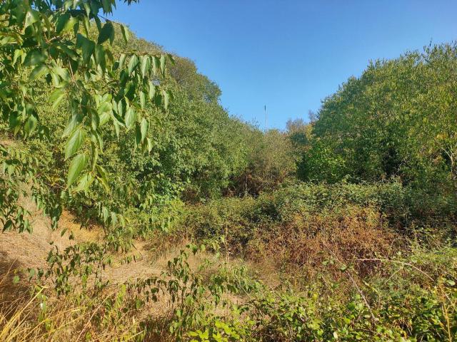 Terreno en venta en Somontano de Barbastro, Aragón