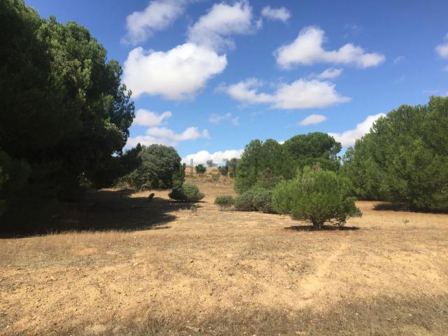 Terreno en venta en Pozoantiguo, Castilla y León