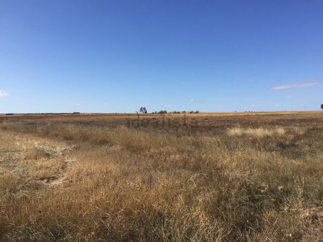 Terreno en venta en Pozoantiguo, Castilla y León
