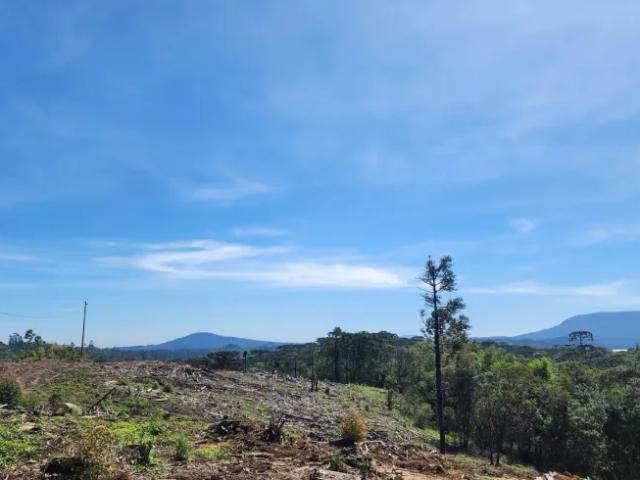 Fazenda venda em Região Geográfica Imediata de Lages, Rio Rufino