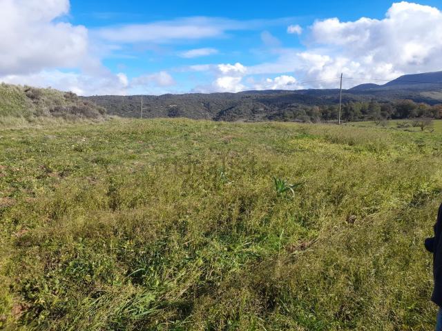 Terreno en venta en Baix Camp, Catalunya