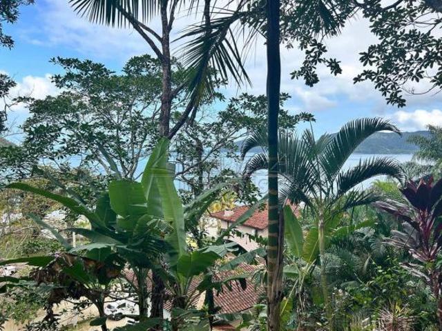 Terreno venda em Ubatuba