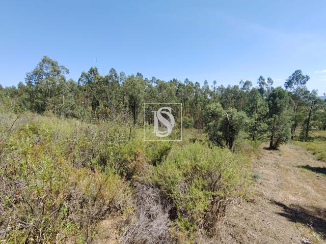 Terreno venda em Praia Do Ribatejo, Santarém