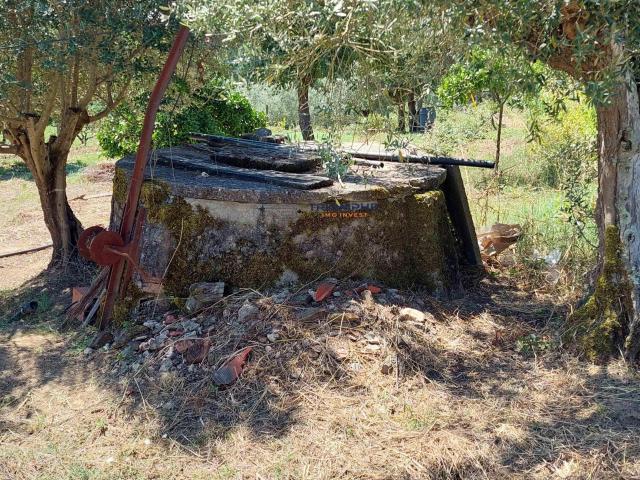 Terreno venda em Praia Do Ribatejo, Santarém