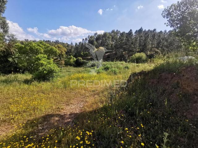Terreno venda em Praia Do Ribatejo, Santarém