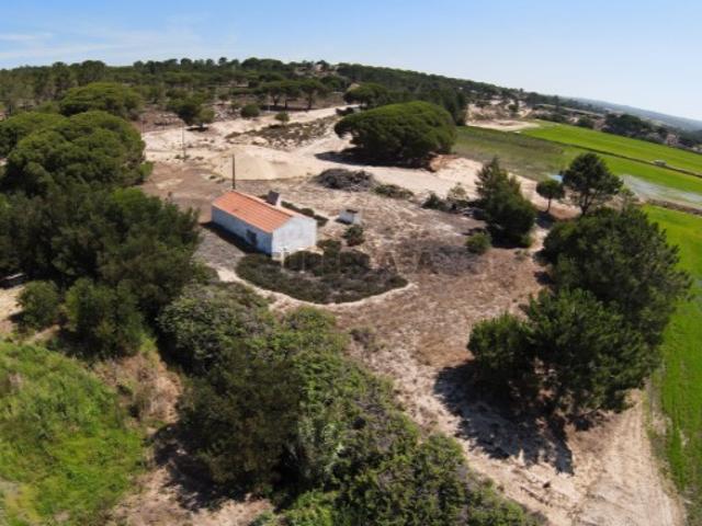 Terreno venda em Grândola, Setúbal