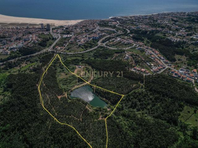 Terreno venda em Senhora da Encarnação, Figueira Da Foz