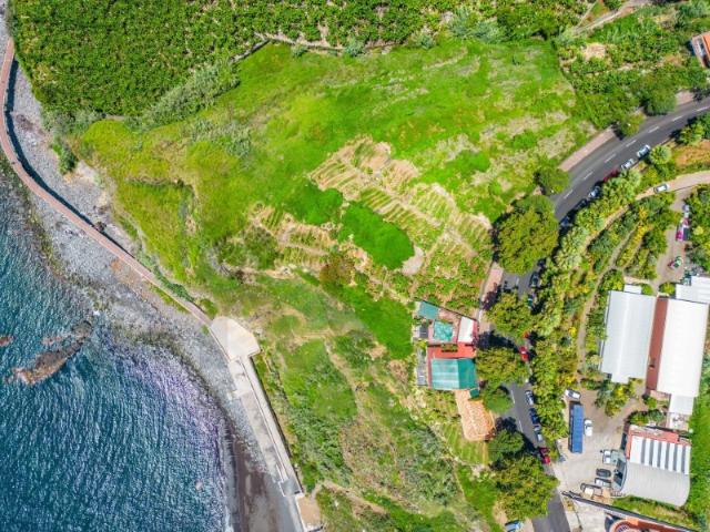 Terreno venda em Piornais, Funchal