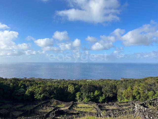 Terreno venda em Açores, Madalena