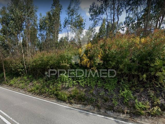 Terreno venda em Paredes, Bitarães