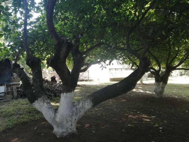 Terreno en venta en Tenancingo, Estado de México