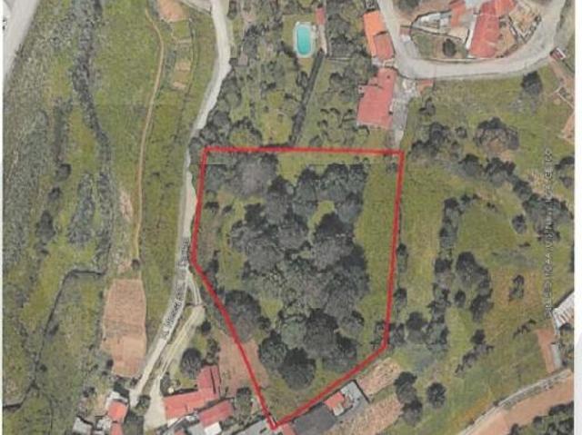 Terreno venda em Felgueira, Oliveira De Azeméis