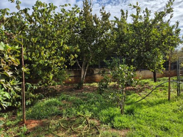 Terreno venda em Arzinha, Loulé