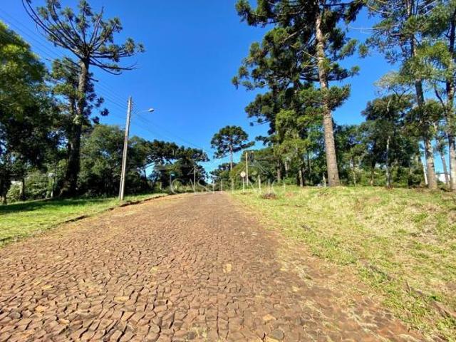 Terreno venda em Região Geográfica Imediata de Erechim, Barão de Cotegipe