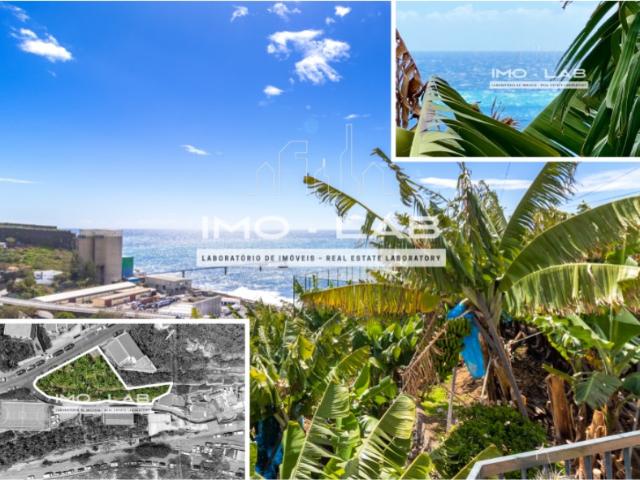 Terreno venda em Câmara De Lobos