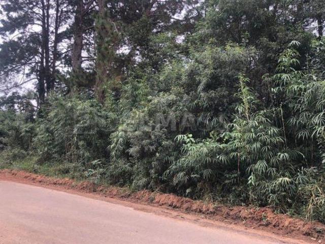 Terreno venda em Região Imediata de Sorocaba, Região Metropolitana de Sorocaba