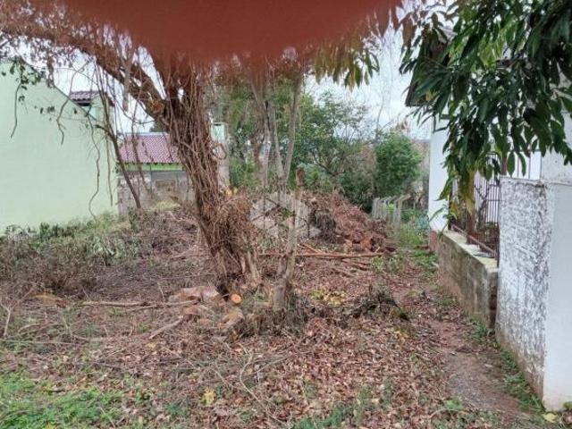 Terreno venda em Sede Municipal, Santa Cruz do Sul