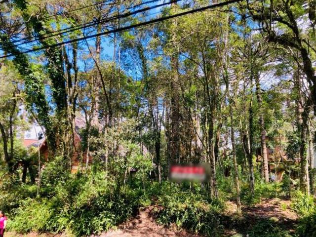 Terreno venda em Gramado