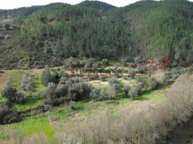 Terreno venda em Castelo Branco, Proença-a-nova