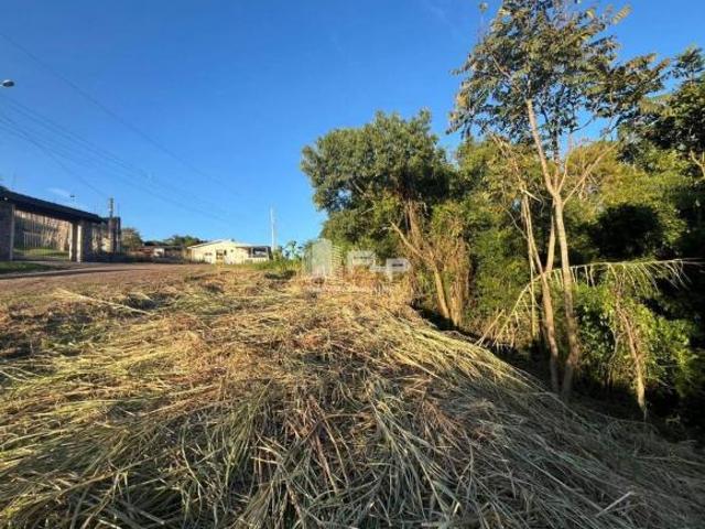 Terreno venda em Feliz