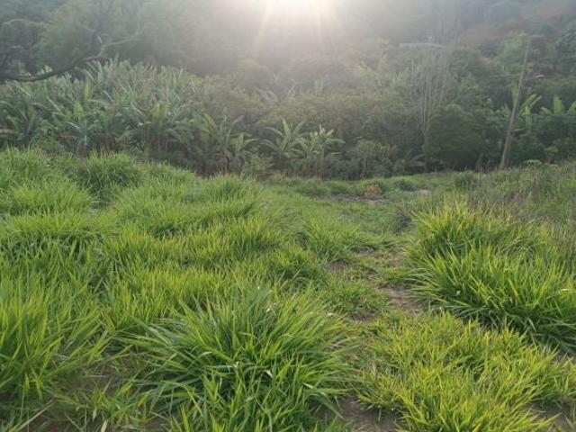 Terreno venda em Região Geográfica Imediata de Belo Horizonte, Moeda