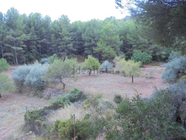 Terreno en venta en la Plana Alta, Valencia