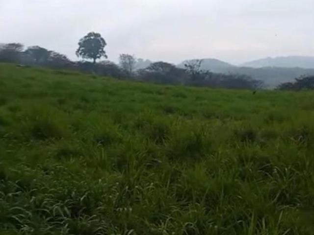 Terreno en venta en Xico, Veracruz