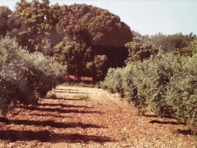Terreno en venta en Alt Camp, Catalunya
