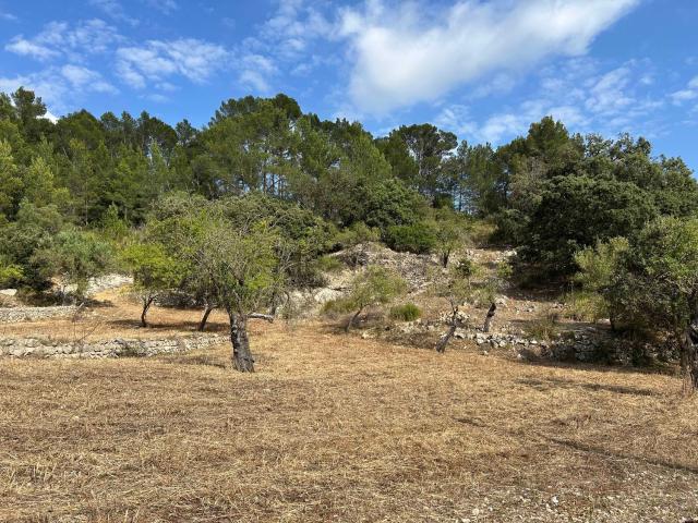 Terreno en venta en Serra de Tramuntana, Baleares