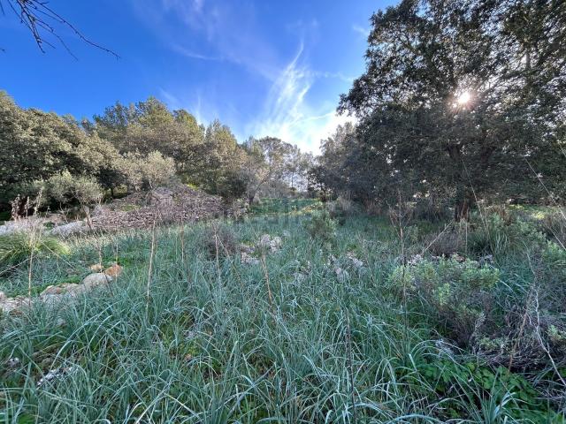 Terreno en venta en Serra de Tramuntana, Baleares